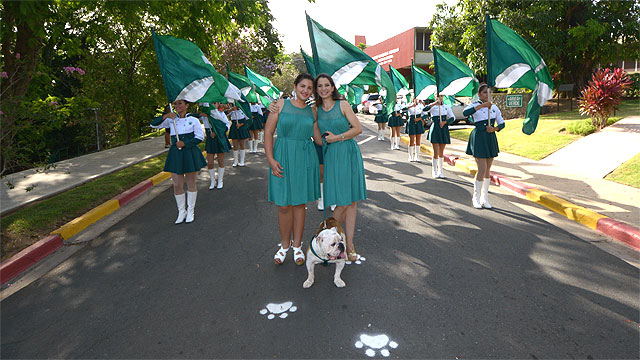 Desfile