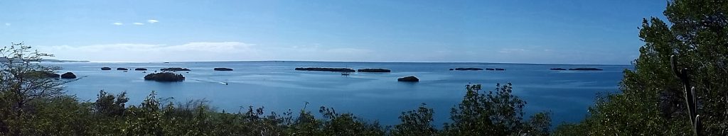 Panoramic view from Isla Magueyes. Foreground mangroves, bright blue ocean water with a light blue sky. 