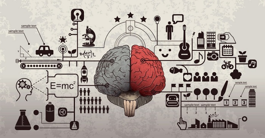 Ciencia Cognitiva Programa De Lingüística Y Ciencia Cognitiva 1540