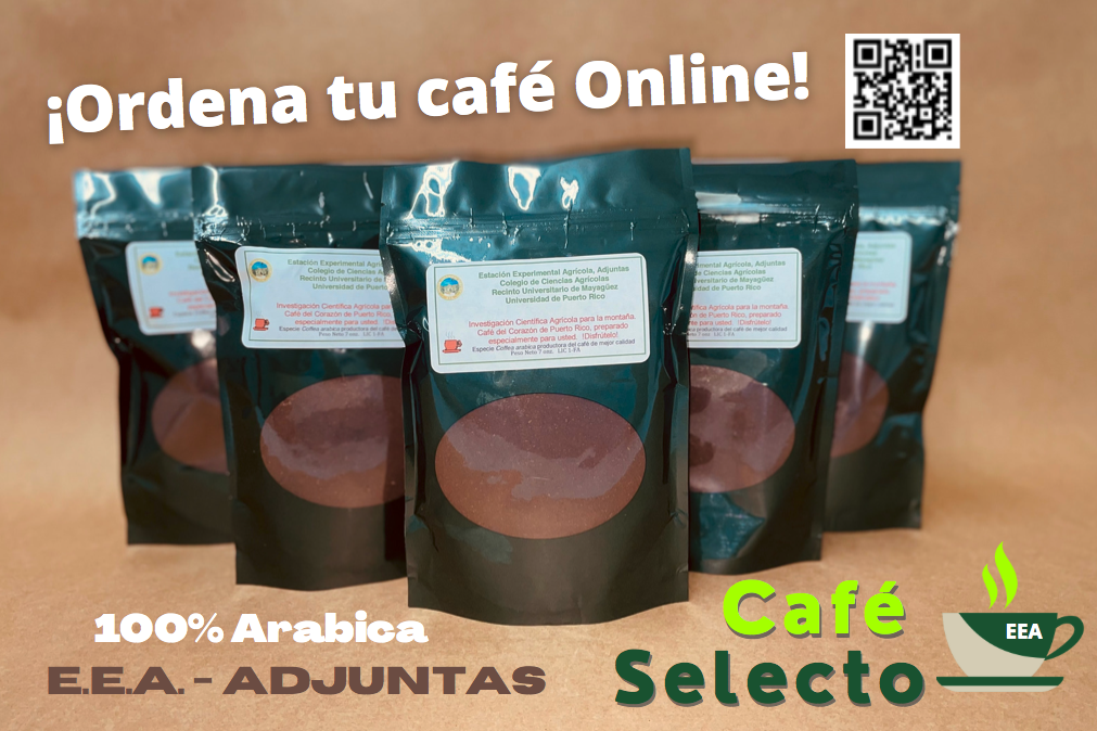 Café Molido  Semilla Selecta