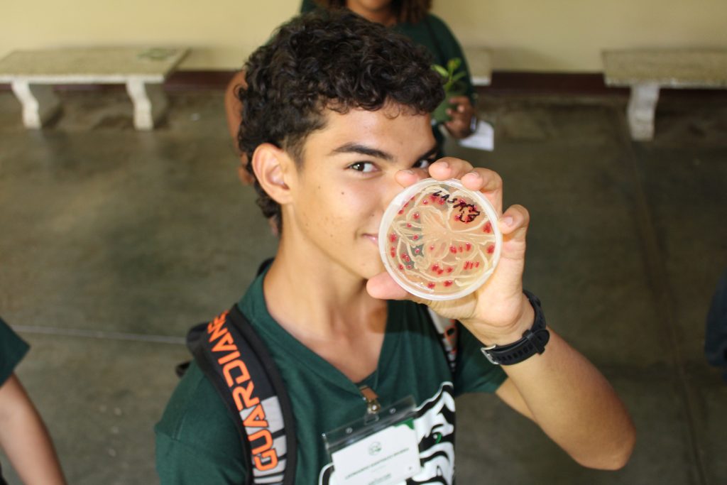 En una semana, una treintena de estudiantes de escuela superior tuvo la oportunidad de hacer una inmersión en el mundo de la agricultura. Trabajaron en laboratorios en transferencias de bacterias, disección de órganos de ganado, cultivos hidropónicos, tractores y hasta con el concepto de inteligencias múltiples. Se trató del programa Agriculture Week Challenge, del Colegio de Ciencias Agrícolas (CCA) del Recinto Universitario de Mayagüez (RUM), experiencia veraniega que ofreció a las jóvenes una mirada a los 13 programas académicos de la mencionada facultad.