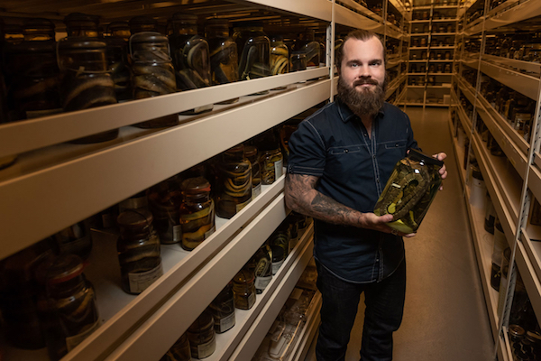 El doctor Timothy J. Colston sostiene un envase con anfibios en un laboratorio con anaqueles llenos de otros recipientes con estas especies.