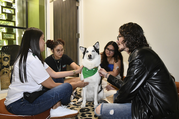 Al centro sentada, Juliana, la perrita husky siberiana certificada como animal de apoyo emocional, rodeada de estudiantes sentados en el piso.