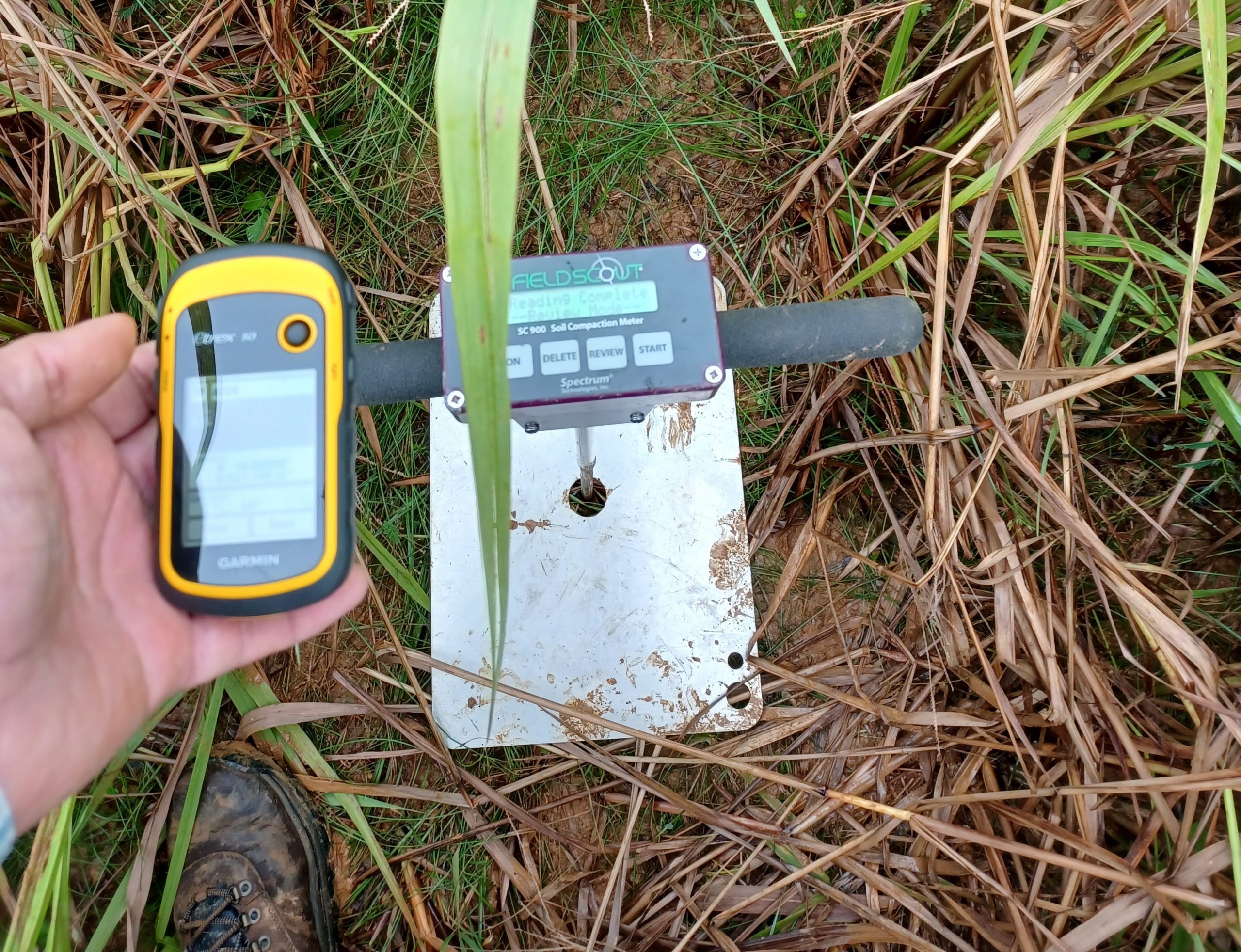 UPRM Soil Health and Edge-of-Field Monitoring – Soil health and edge-of ...